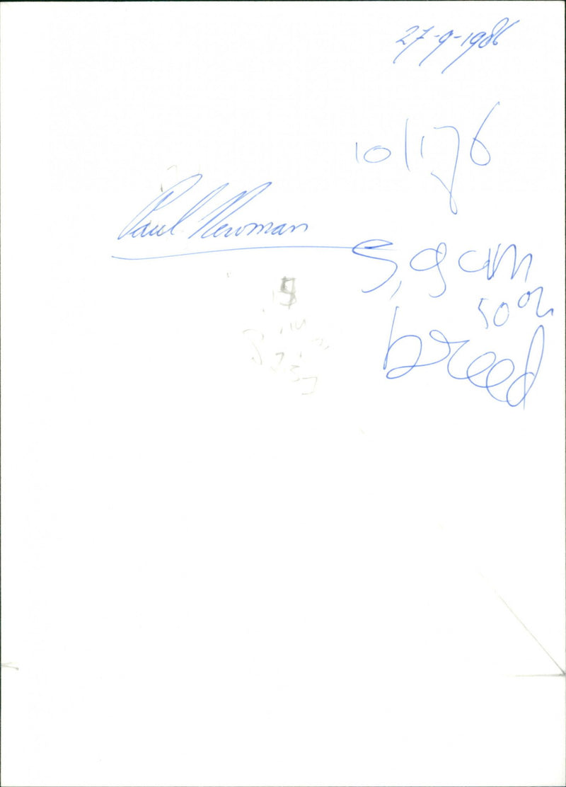 Slap Shot - Vintage Photograph