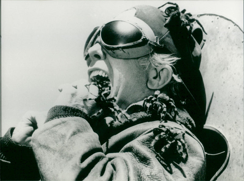 Kingdom of the Spiders - Vintage Photograph