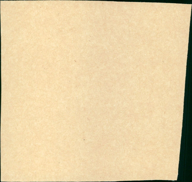 Whitey Hughes in Kingdom of the Spiders - Vintage Photograph