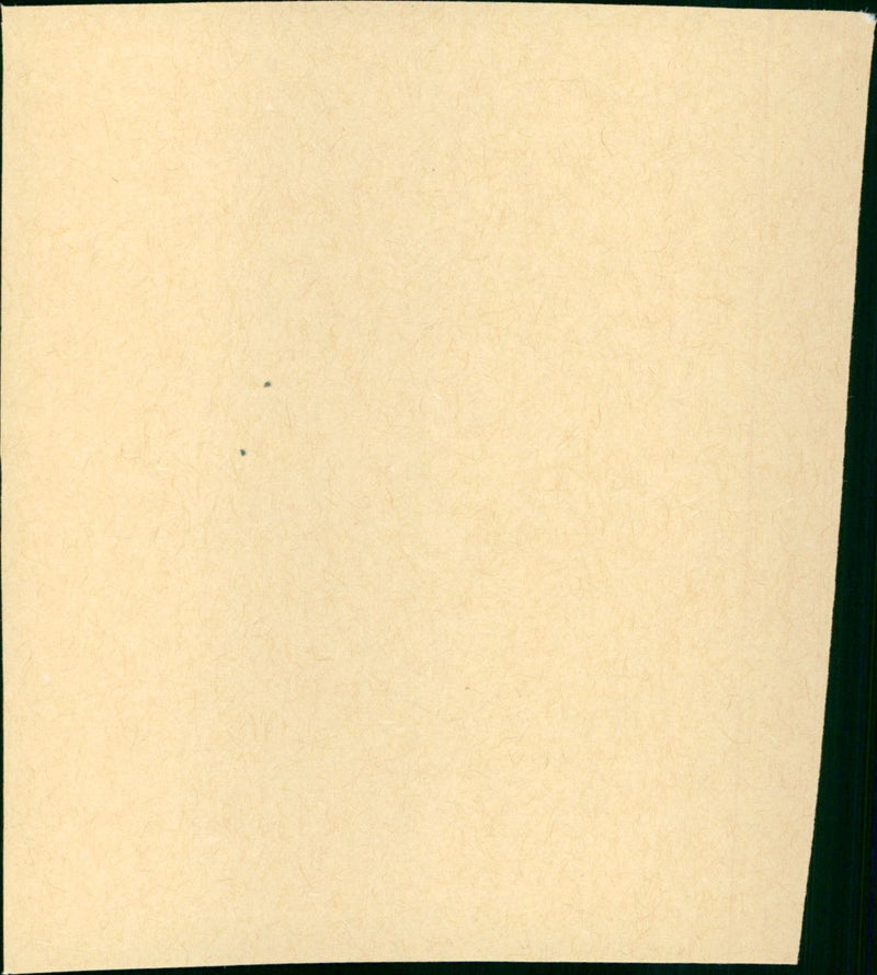 l'ennemi public - Vintage Photograph