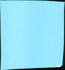 King of the Wind - Vintage Photograph