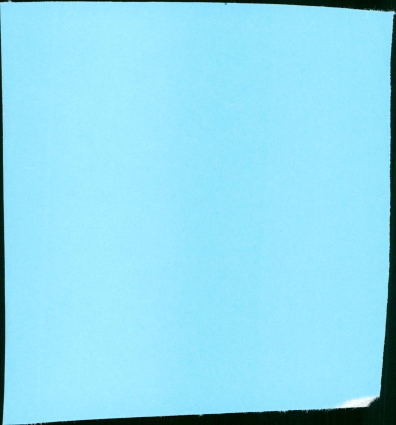 King of the Wind - Vintage Photograph