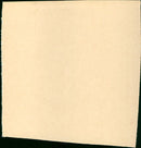 Days of Wine and Roses - Vintage Photograph