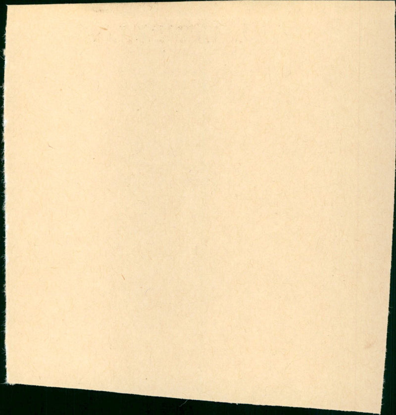 Days of Wine and Roses - Vintage Photograph