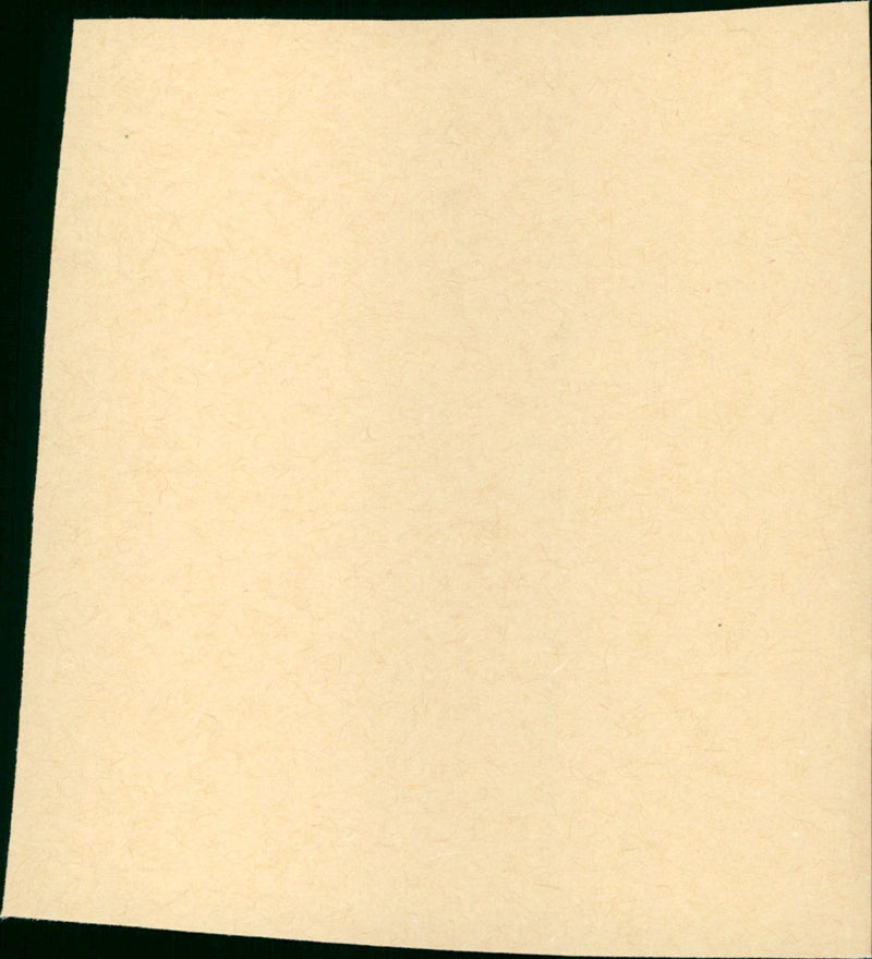 Kinderarzt Dr. Fröhlich - Vintage Photograph