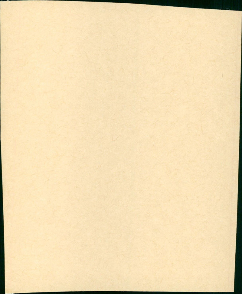 L'Effrontée - Vintage Photograph