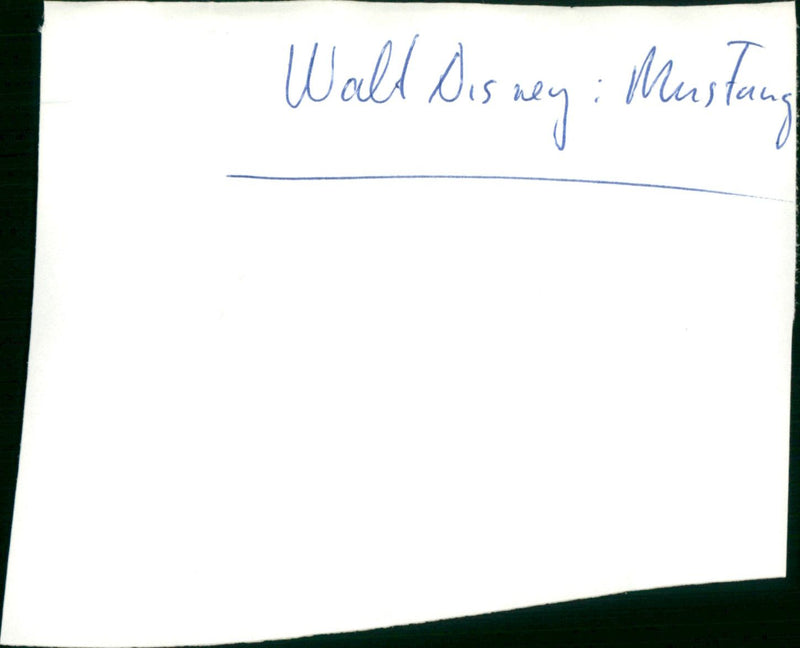 Walt Disney: Mustang - Vintage Photograph