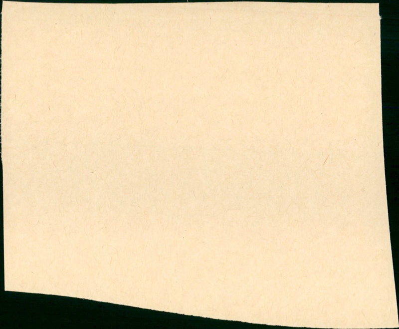 Walt Disney: Mustang - Vintage Photograph