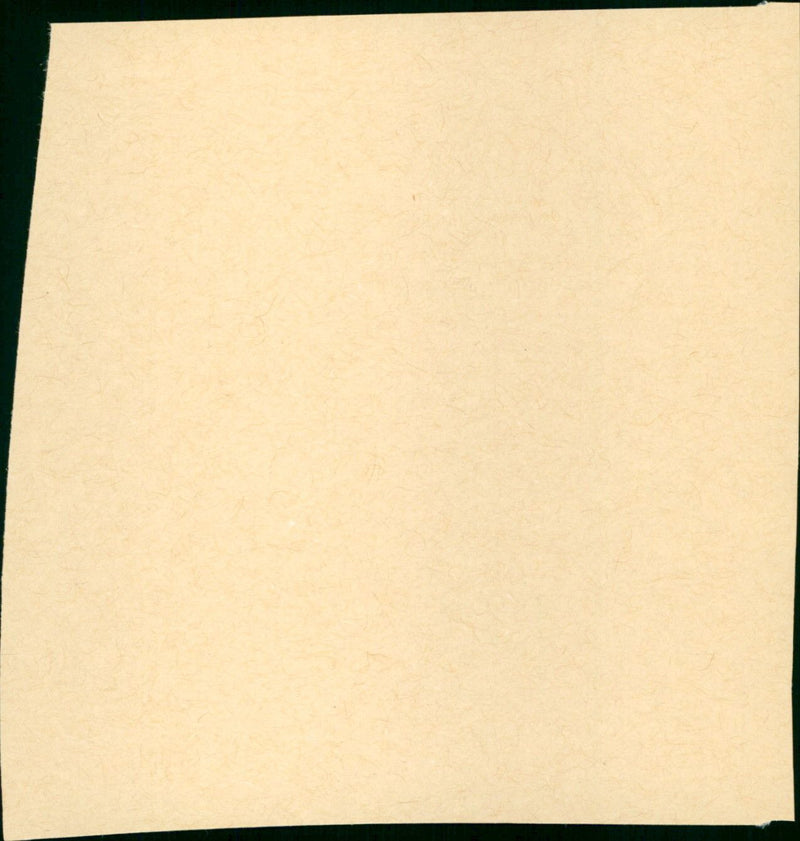 Bear Island - Vintage Photograph