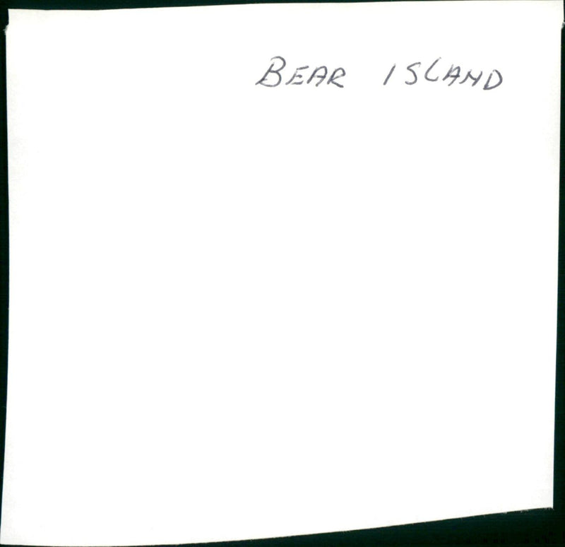 Bear Island - Vintage Photograph