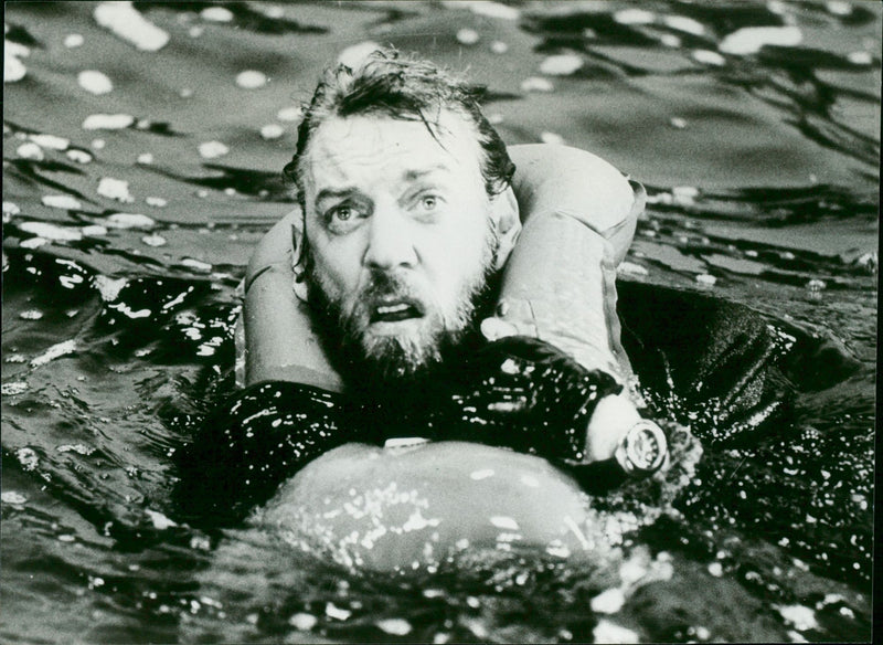 Bear Island - Vintage Photograph