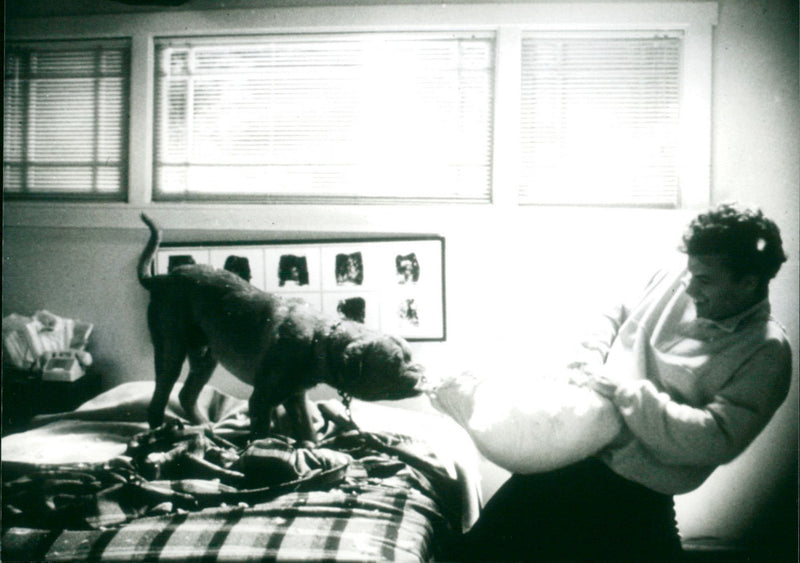 Turner & Hooch - Vintage Photograph