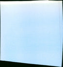 Elvis and Me - Vintage Photograph