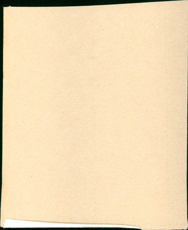 The Ballad of Narayama - Vintage Photograph