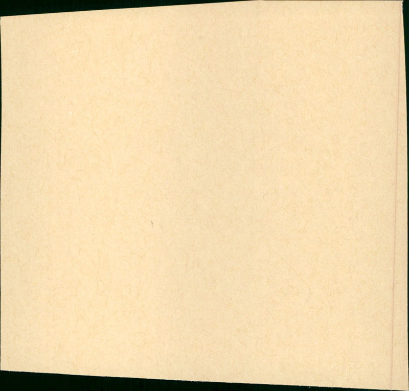 Ambush - Vintage Photograph