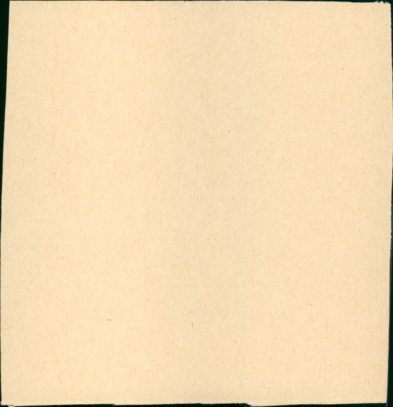 L'emigrante - Vintage Photograph