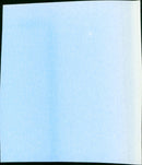 Bananas - Vintage Photograph