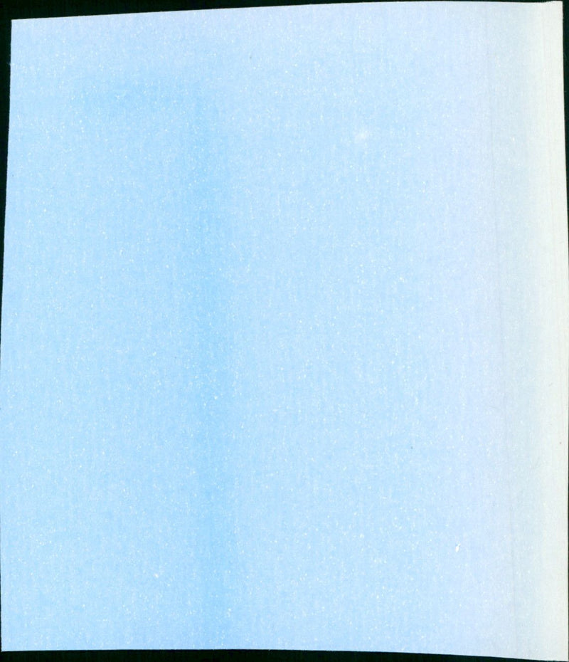 Bananas - Vintage Photograph