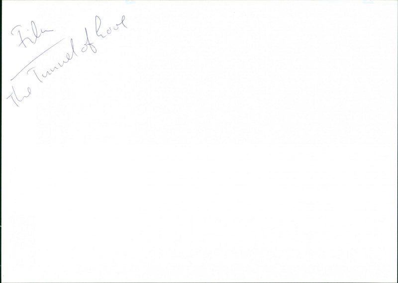 The Tunnel of Love - Vintage Photograph