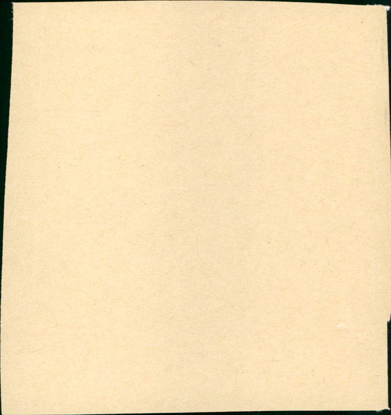 The Band Wagon - Vintage Photograph