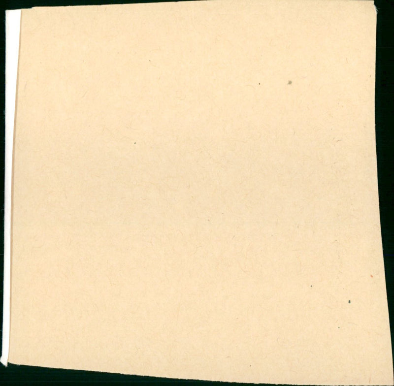 The Tunnel of Love - Vintage Photograph