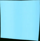 American Friends - Vintage Photograph