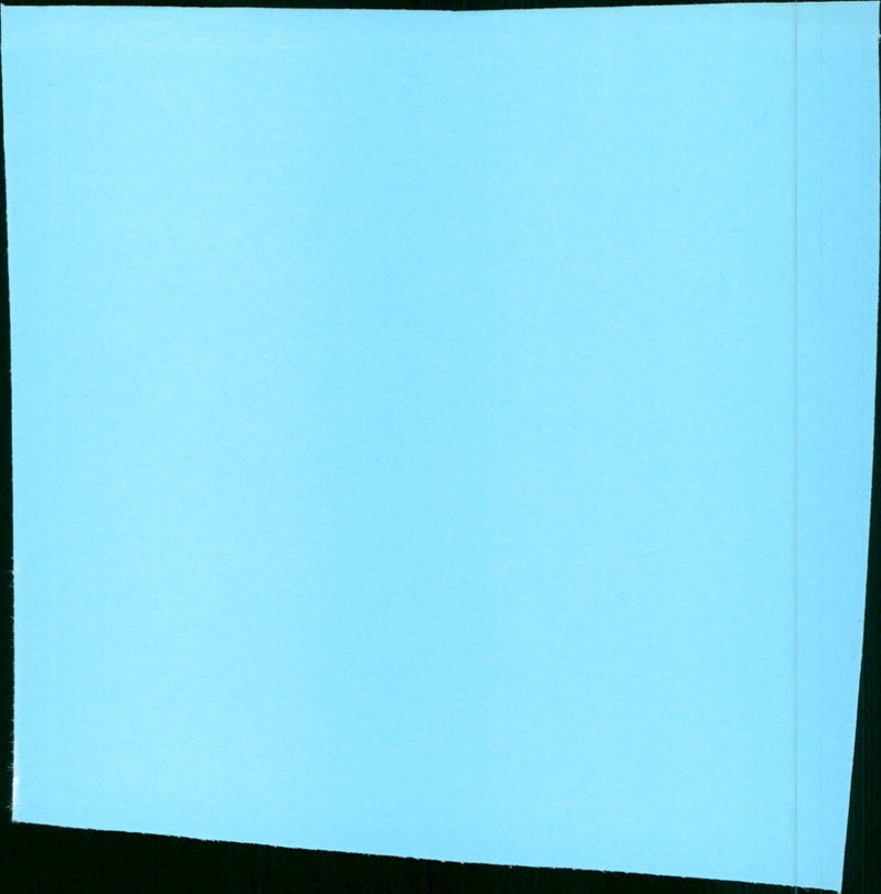 American Friends - Vintage Photograph