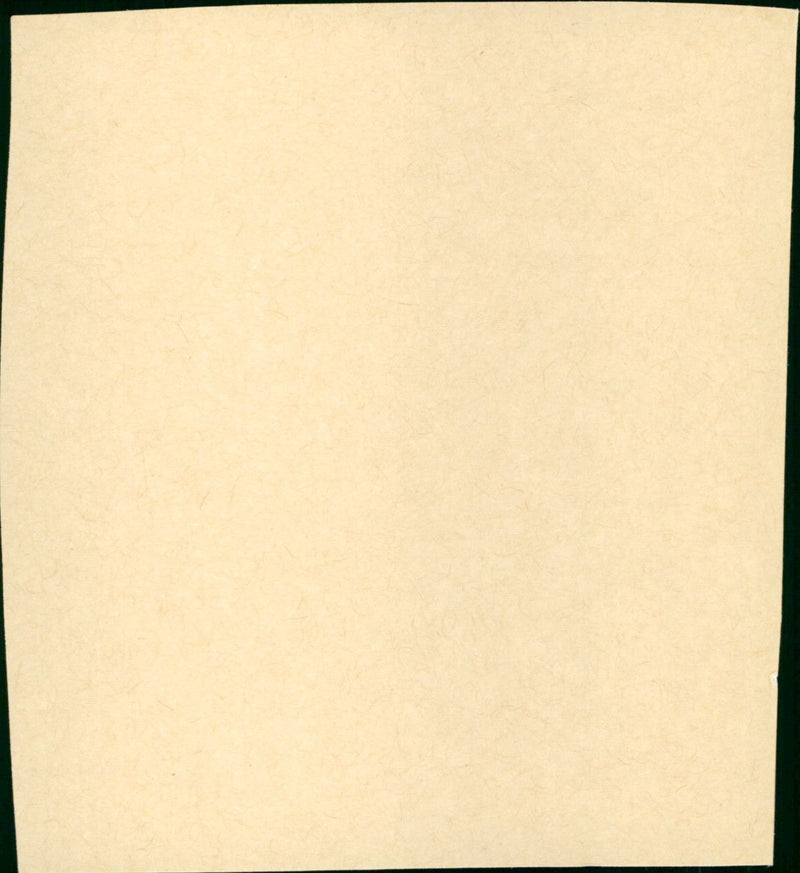 Back to the Future - Vintage Photograph