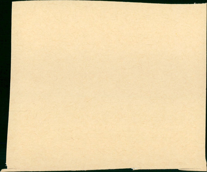 Damage - Vintage Photograph