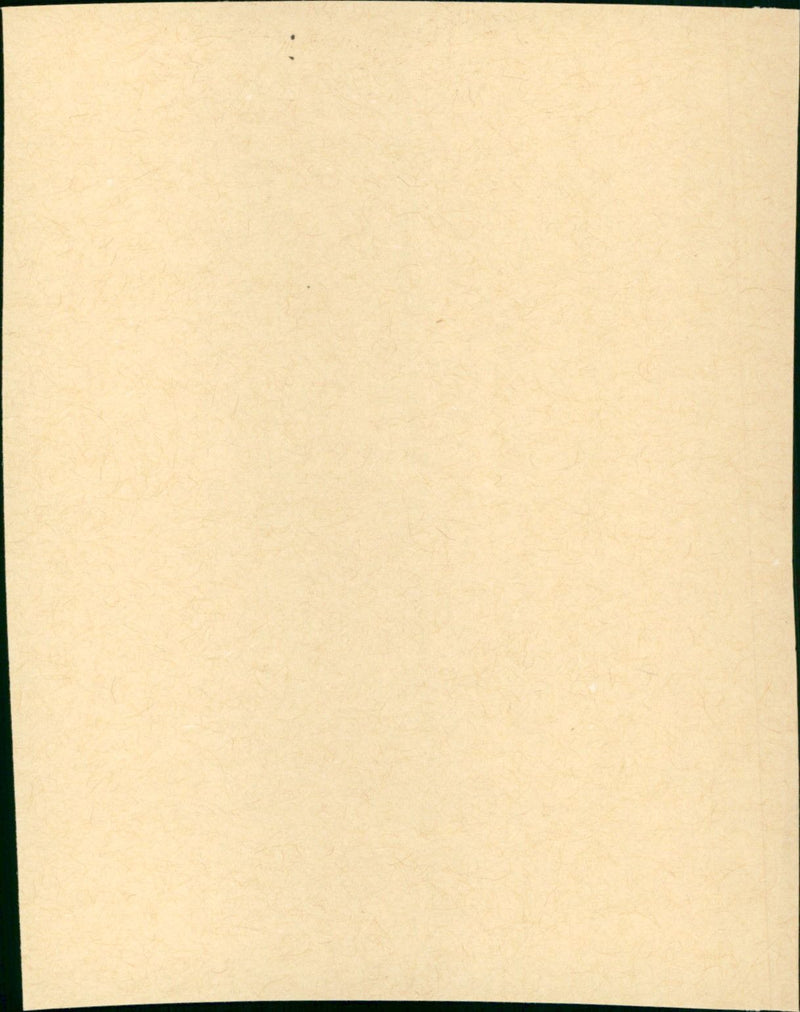 Bandolero! - Vintage Photograph