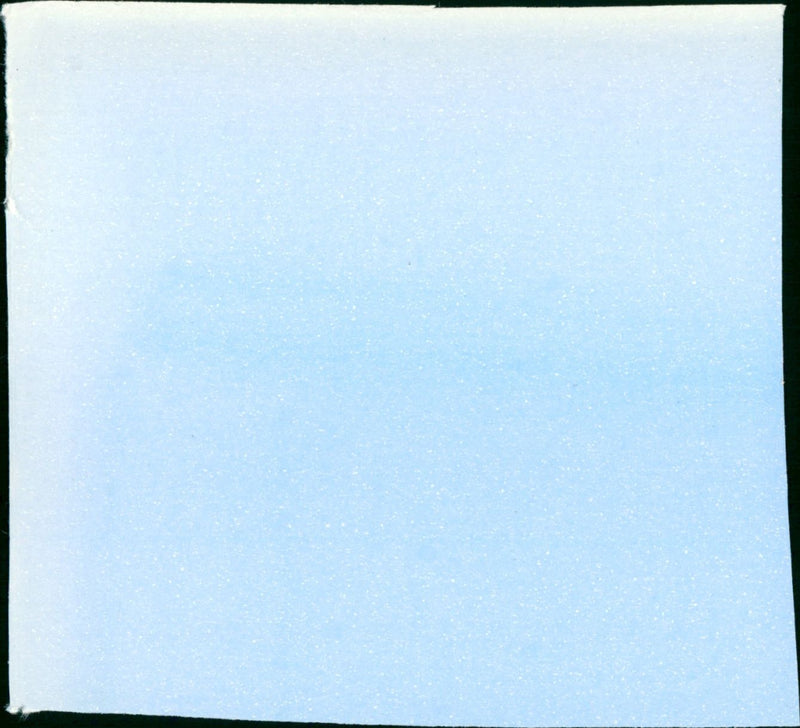 Die Dame vom Palast-Hotel - Vintage Photograph