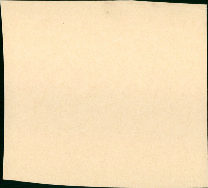 Versteckte Fallen - Vintage Photograph