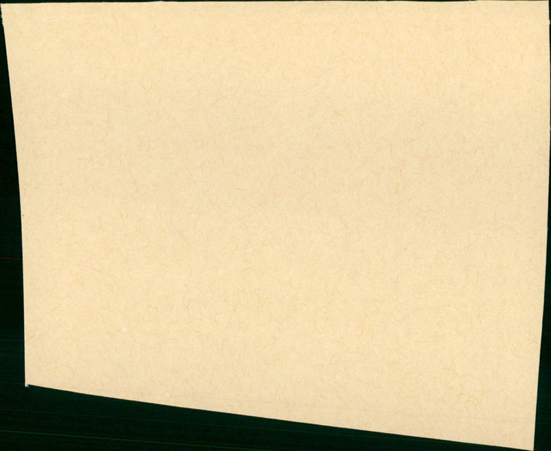 Vertauschtes Leben - Vintage Photograph