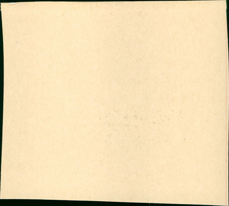 Among the Living - Vintage Photograph