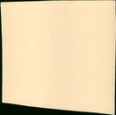 L'amour en question - Vintage Photograph