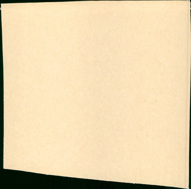 L'amour en question - Vintage Photograph