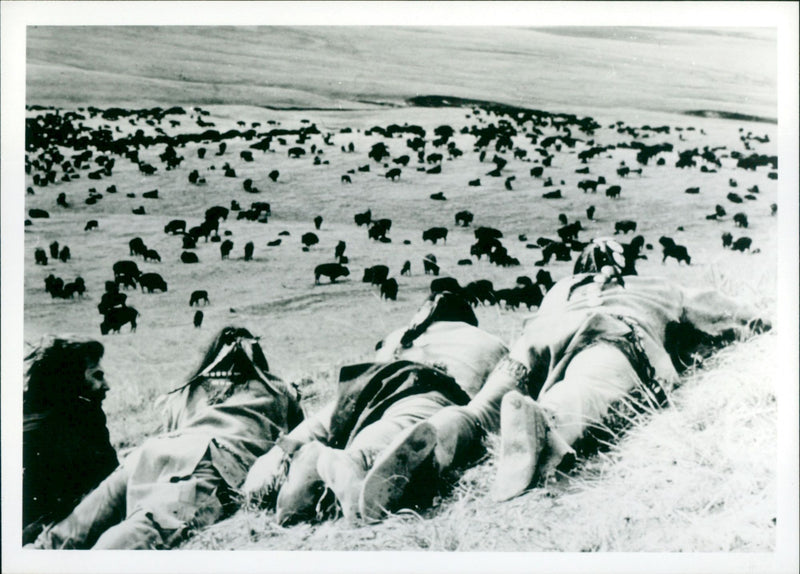 Dances with Wolves - Vintage Photograph