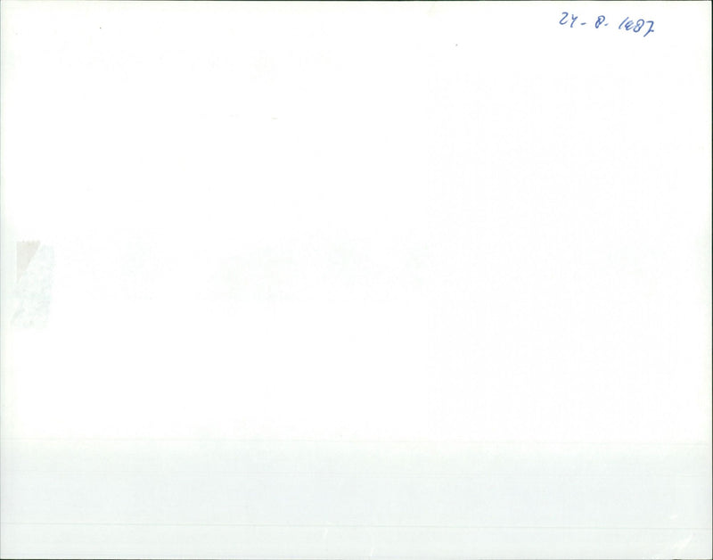 Goldy Hawn and Giancarlo Giannini - Vintage Photograph