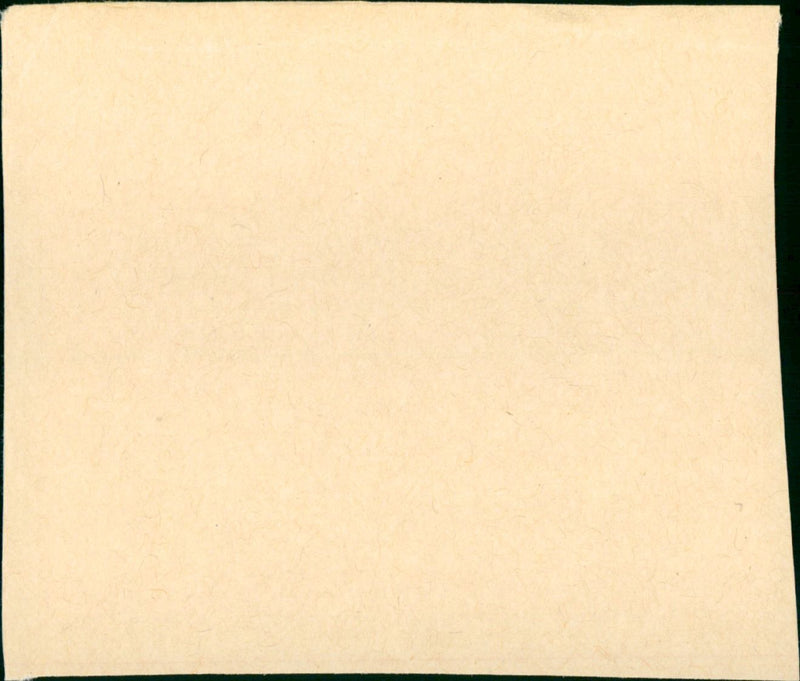 Dances with Wolves - Vintage Photograph