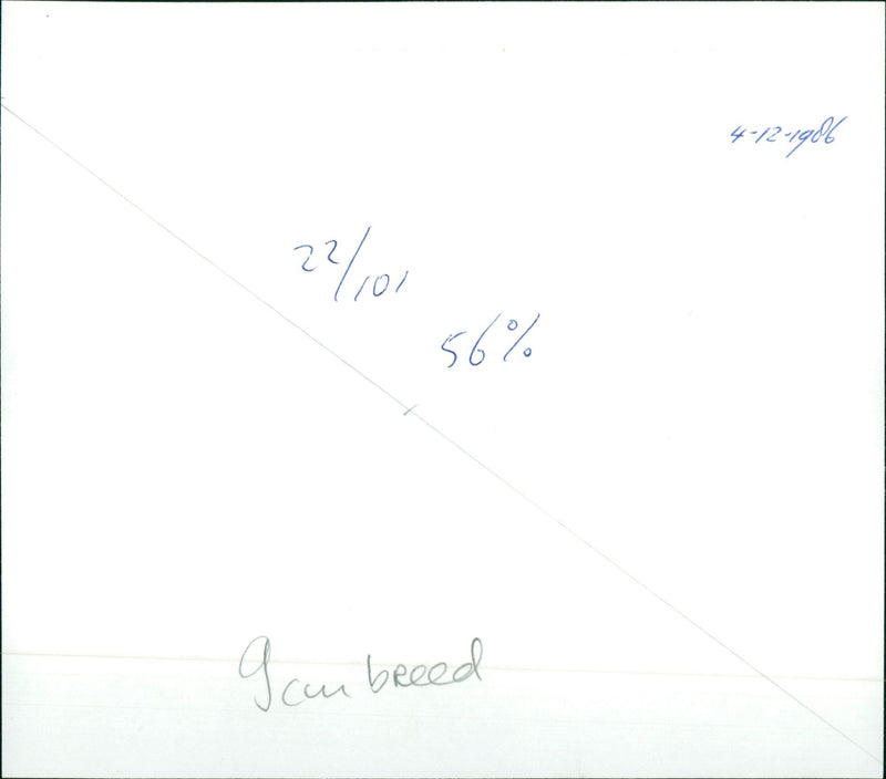 Renée Soutendijk, Kitty Courbois and Rijk de Gooijer - Vintage Photograph