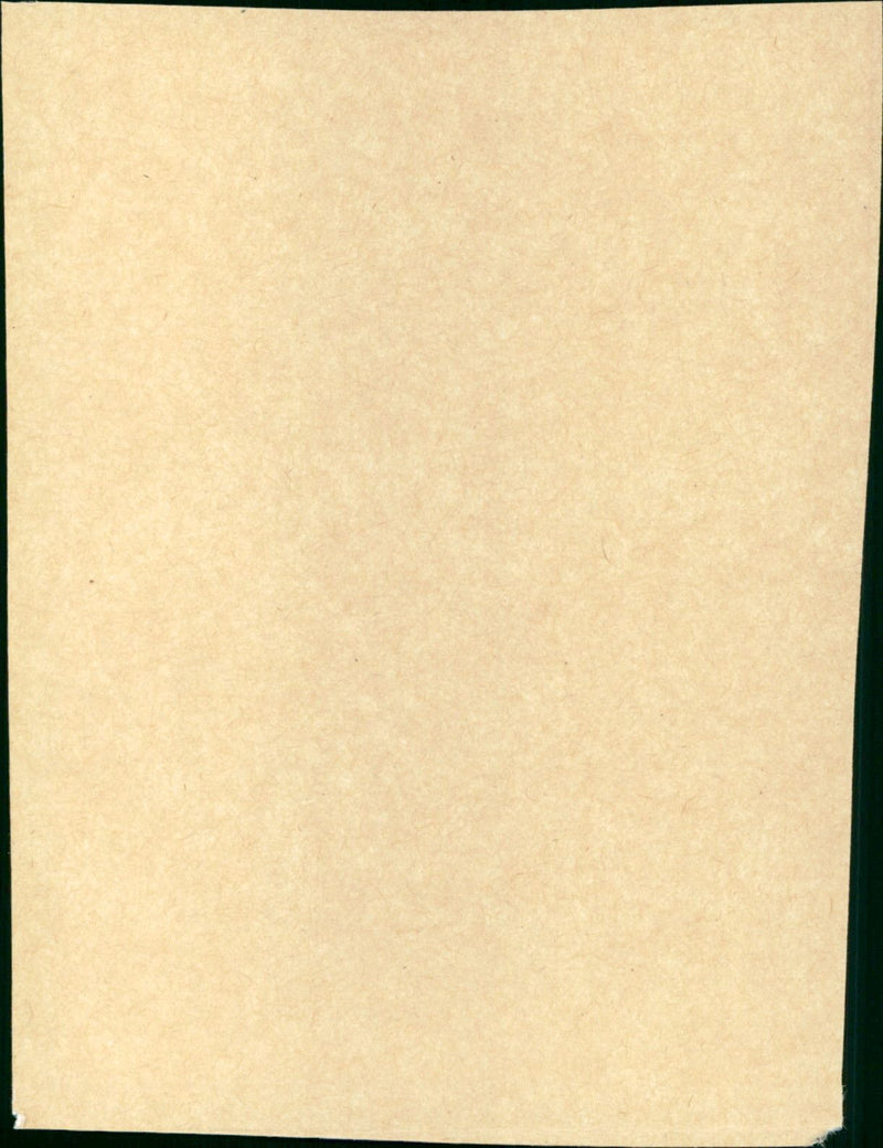 The Barefoot Contessa - Vintage Photograph