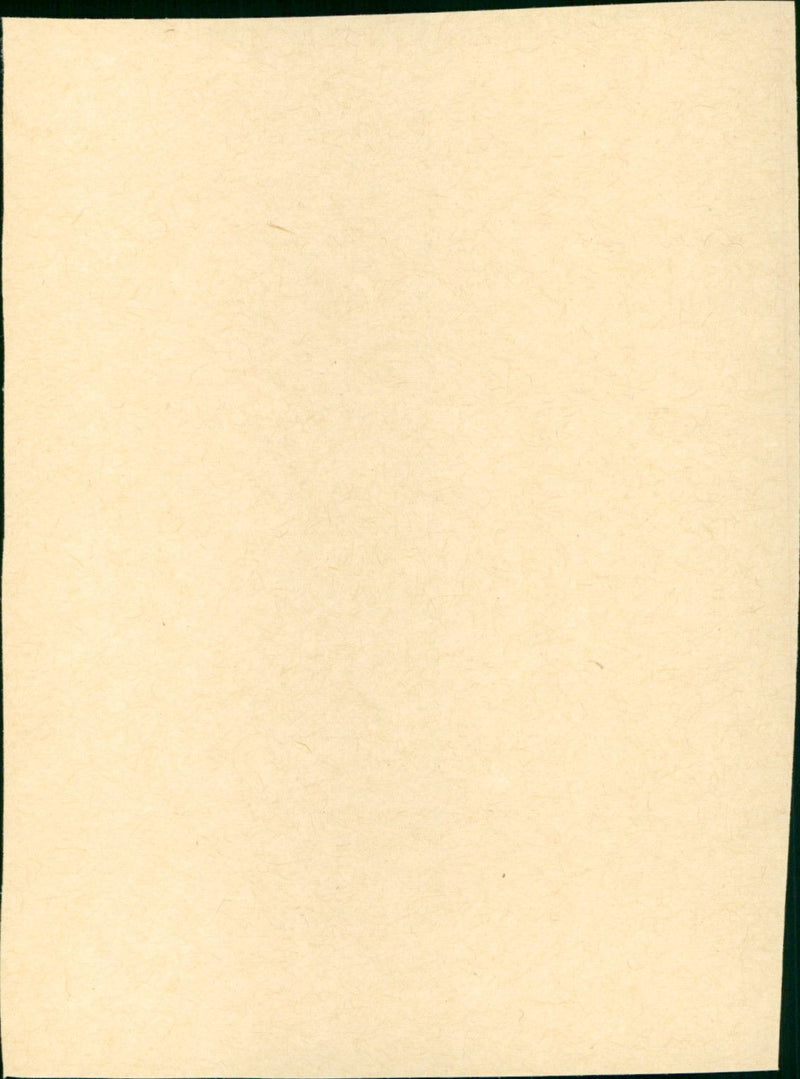 The Barefoot Executive - Vintage Photograph