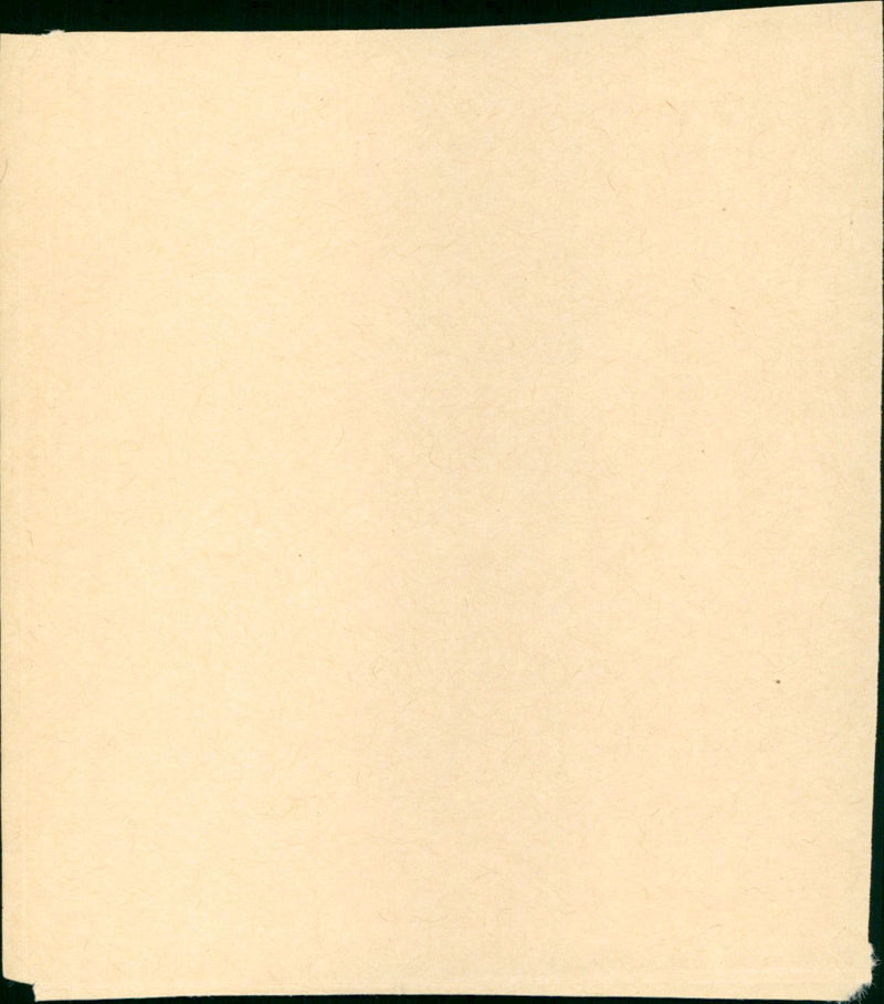 Barfly - Vintage Photograph