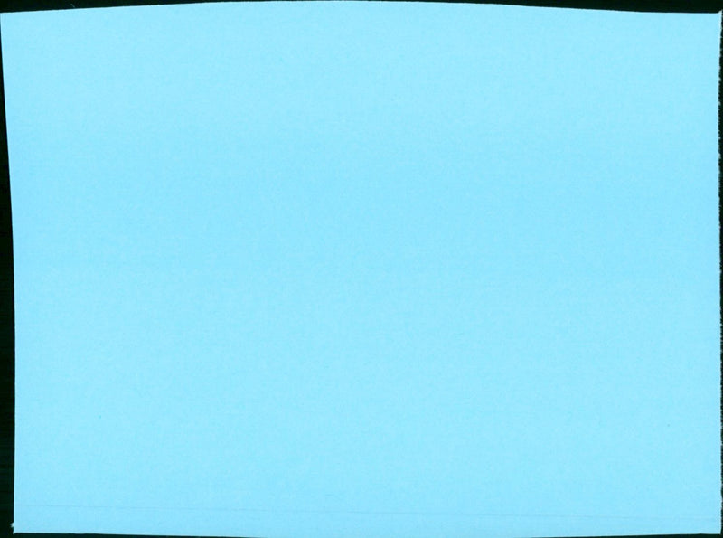 The Barkleys of Broadway - Vintage Photograph