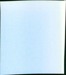 The Baron - Vintage Photograph