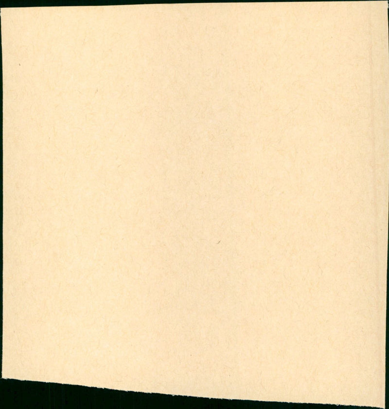 And Then There Were None - Vintage Photograph