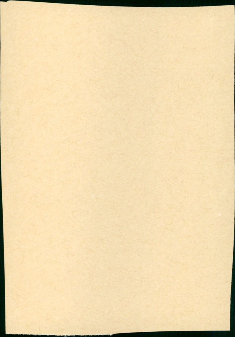 Danielle Steel's Changes - Vintage Photograph