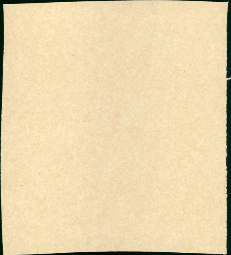 A Dangerous Life - Vintage Photograph