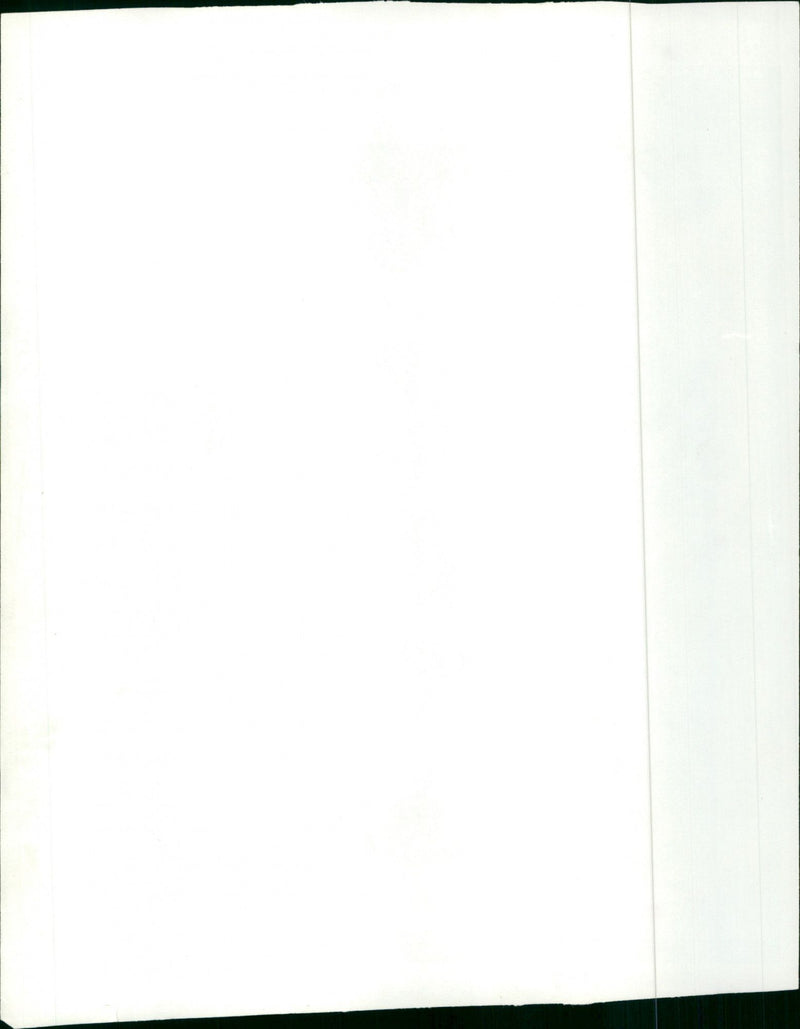 Die Kinder aus Nr. 67 - Vintage Photograph