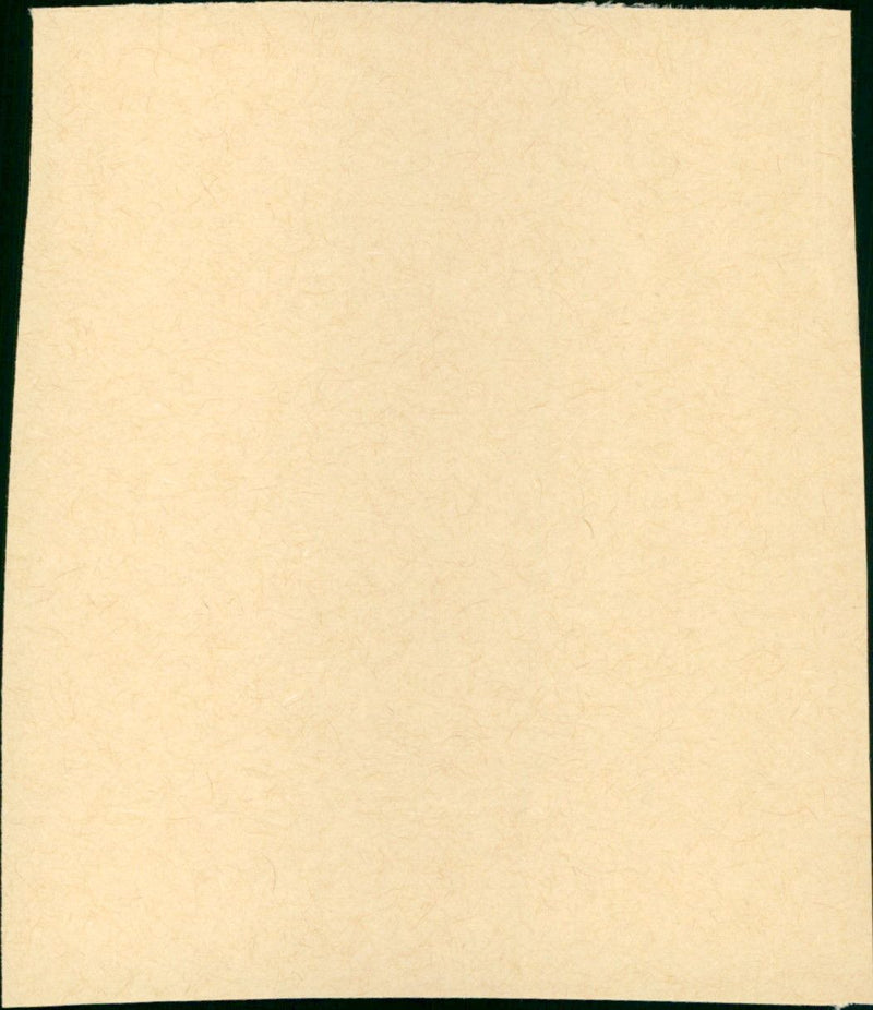 Danielle Steel's Daddy - Vintage Photograph